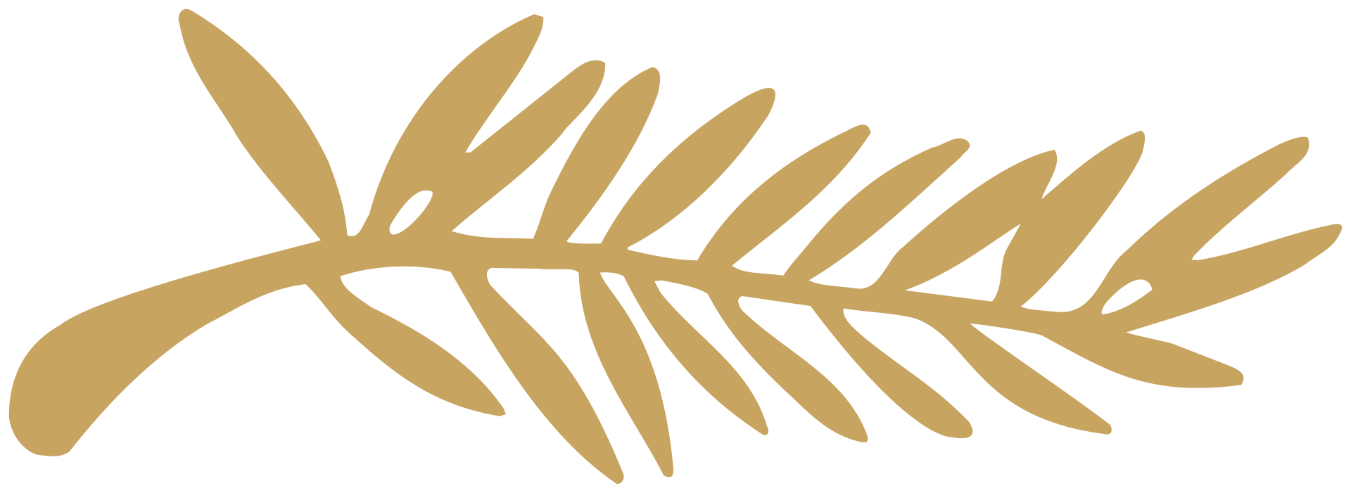 Palme symbole de la ville de Cannes